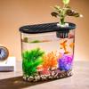 Aquário Paisagístico Transparente de Plástico para Escritório, Aquário Ecológico para Tartaruga, Micro Paisagem, Aquário para Peixe Dourado, Aquário