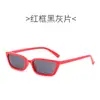 Óculos de Sol Transparentes com Lente Oceânica de Armação Pequena, Moda Europeia e Americana, Óculos de Sol de Plástico Retro com Orelhas de Gato, Protetor Solar