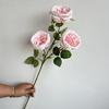 Novo 3 Austin Rose Flores Artificiais Flores de Casamento Buquê de Flores Falsas High Sense Flor de Seda Floricultura Decorativa