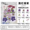 Flores secas y especímenes de plantas de flores marco de fotos repujado a mano marcapáginas lámpara de escritorio pegamento nail art suministro transfronterizo venta al por mayor 18 piezas