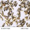 Venda quente transfronteiriça galvanoplastia ouro brilhante vidro fundo plano manicure broca de formato especial diy acessórios de decoração de unhas joias atacado