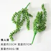 Plantación de Bonsái de Suculentas Simuladas Cuidadosamente Seleccionadas Mini Accesorios de Suculentas Falsas Terciopelo Plantas Verdes Decoración del Hogar DIY Adornos