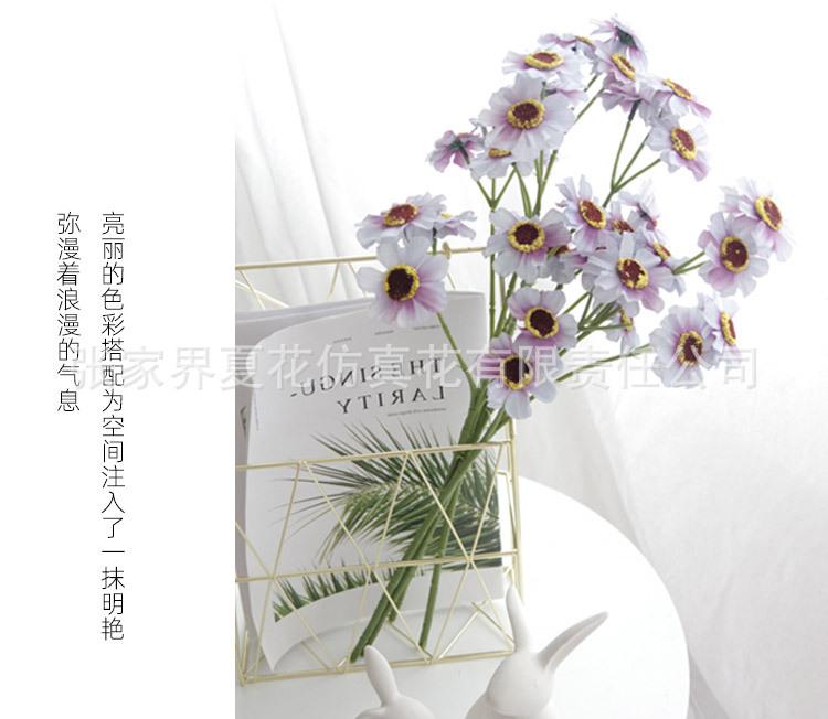 详情页_23.jpg