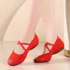 Zapatos de Baile Cuadrado Primavera y Verano Nuevos Zapatos de Baile para Mujer Suela Suave Zapatos de Baile para Adultos Suela Suave Zapatos de Baile Fondo Plano Transfronterizo
