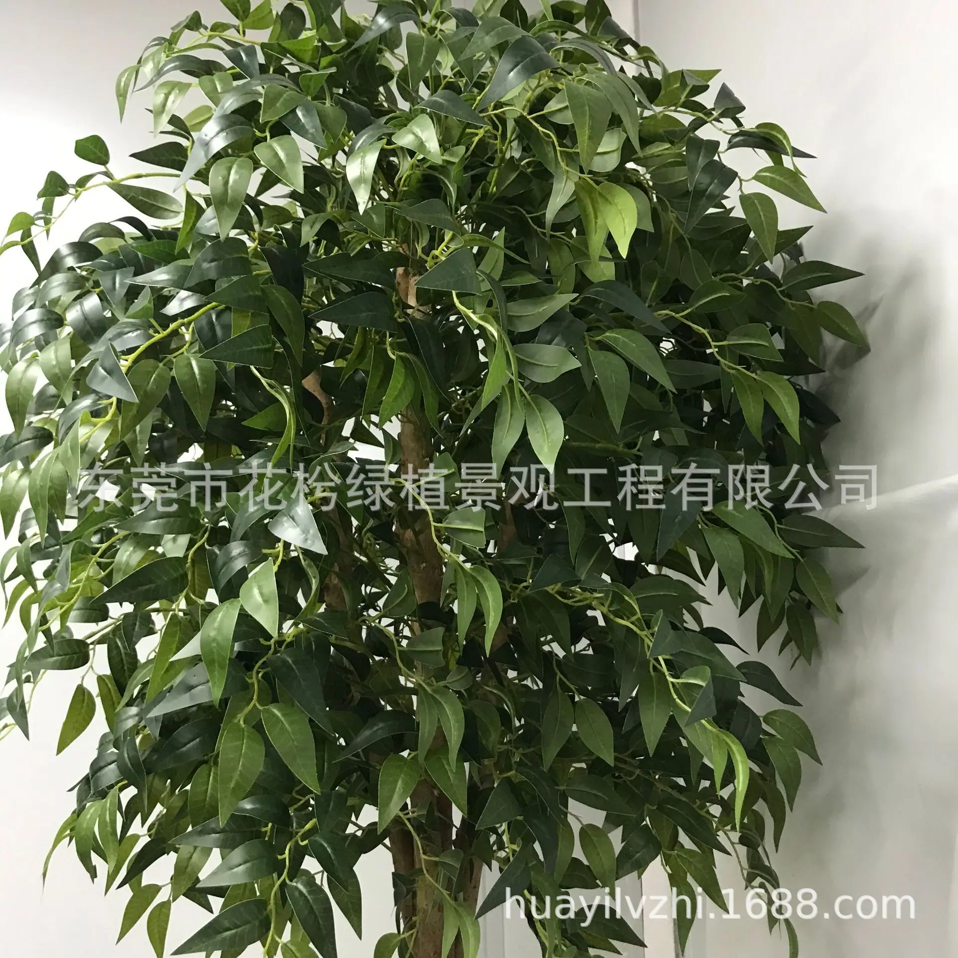 微信图片_202105280944533