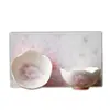 Conjunto de Xícaras de Chá Chinesas Cerâmicas Pintadas à Mão com Flor de Papoula Colorida Sob Esmalte Caixa de Presente Conjunto de Xícaras Mestra Presente de Lembrança para Melhor Amiga Feminina