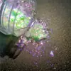Polvo de brocado de nube mágica de alta concentración Polvo de ópalo japonés Polvo Aurora de alto brillo Harina de espejo transparente Polvo de perla brillante 10g