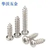 Tornillos Autorroscantes de Cabeza Redonda Cruzada Niquelados de Hierro Tornillos de Cabeza Plana con Cola Puntiaguda M1/M1.2/M1.4/M1.5/M1.7/M2