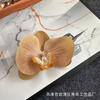 Filme de simulação Phalaenopsis Flower Head Simulation Flower Bag Acessórios Headwear Hairpin Flower DIY Handmade Wedding Ceremony Decoration