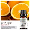 Exportación Transfronteriza Aceite Esencial Individual Fragancia Aromaterapia Masaje Aceite Esencial Sándalo Difusor Mayoreo Muestra de 10 ml