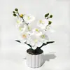 Planta en maceta de Orquídea Phalaenopsis con 10 Flores y 2 Capullos, Montaje de Escena para Fotografía en Casa, Planta Verde Artificial de Gama Alta Bonsái