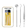Herramientas Bucales de Acero Inoxidable Listas para Usar del Fabricante, Set de 6 Piezas de Herramientas Dentales, Kit de Eliminación de Sarro y Limpieza