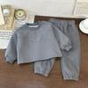 Traje de Invierno de Felpa para Niños y Niñas 2025 Sudadera Pulóver de Moda + Pantalones Conjunto de Dos Piezas Estilo Coreano para Niños Pequeños y Medianos