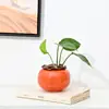 Pote de Cerâmica Caqui Pote de Chá Hidropônico Simulador Pequeno Recipiente para Presente de Casamento Caqui Caqui Enfeites Pote de Doces de Casamento