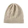 Gorro 100% Cachemir 2026 Otoño/Invierno Nuevo Estilo Unisex Casual con Orejeras Plegable Gorro de Punto Trenzado Gorro de Moda