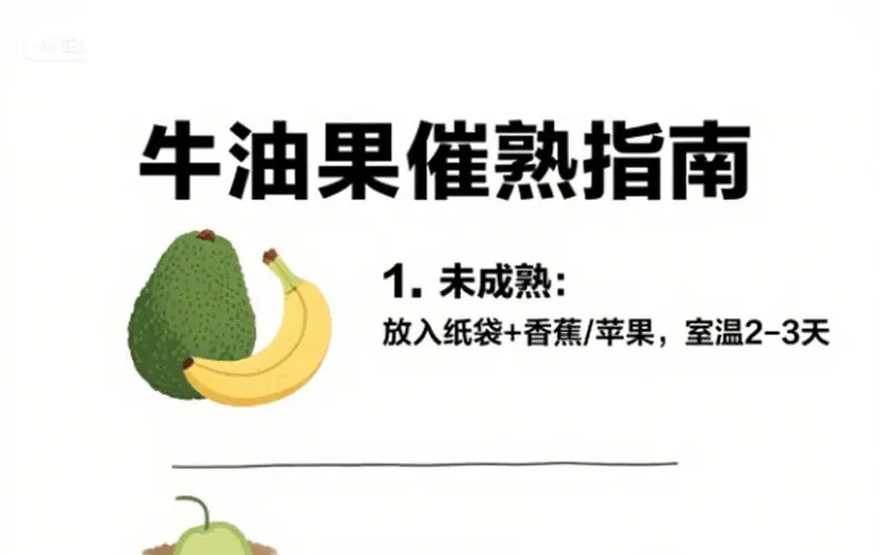 秘鲁进口牛油果 代发2/4/6/8枚中大果鳄梨全年软糯奶油果新鲜水果详情图1
