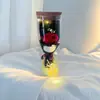 Flor Eterna Criativa Tubo de Vidro Tanabata Dia dos Namorados Presente Rosa Garrafa de Desejos Luminosa Presente de Feriado Atacado