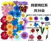Bolsa de Rafia para Plantas Bolsa de Material para Estampado de Flores Secas Espécimen de Hoja de Flor Real Pintura DIY Marcapáginas Goteo de Pegamento Posavasos de Flores Secas