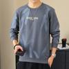 Suéter masculino, nova camiseta de manga comprida para primavera e outono, pulôver solto, gola redonda, camisa básica, top estampado da moda para jovens