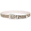 Hebilla de Cinturón con Estampado de Leopardo para Mujer Estilo Punk Juego de Tres Piezas con Incrustaciones de Pedrería Moda Personalizada Remache Decorativo Cinturón de Pantalón para Mujer