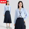 Camisa de Gasa Elegante de Ajuste Delgado, Estilo Nuevo para Primavera y Otoño, para Entrevista de Trabajo, Top de Camisa Azul de Manga Larga Profesional para Mujer