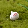Micro Paisagem Mini Bolso Hamster Coelho Caracol DIY Acessórios de Decoração Jardinagem Fazenda Paisagismo Pequenos Enfeites