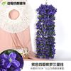 Colgante de pared violeta simulado para decoración de bodas y del hogar, enredadera de rosas colgante de techo, enredadera de flores falsas, decoración artificial de flores para el hogar