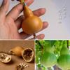 Colgante de Buda pequeño de cinabrio de calabaza natural, colgante de coche seguro Fu Lu, colgante creativo para entrada de sala de estar y hogar, joyería