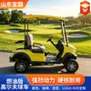 Suministro transfronterizo de carritos de golf de combustible, vehículos escénicos turísticos, vehículos de recepción de hotel, carritos de golf de 2 plazas