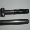 Perno de Cabeza Cuadrada, Perno de Carruaje, Tornillo de Lingote, Perno de Correa, Perno de Alta Resistencia de Cabeza Única y Doble Cabeza, Perno con Forma de Pez