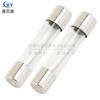 6*30 tubo de fusível de vidro proteção de quebra rápida F1A/2A/3A/5A/6A/8A/10A/15A/20A 250V