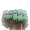 Venta al por mayor del fabricante Plumas Pequeñas de Faisán DIY Tocado de Plumas de Faisán Broche Sombrero Zapatos Artesanías Materiales de Decoración