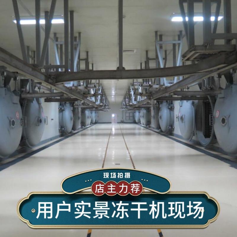 现场冻干机800的主图