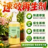 Regenerador de Acción Rápida para Plantas Líquido Revitalizante para Flores Planta en Maceta Tallos Desnudos Hojas Amarillentas Caída de Hojas Jardín Universal Fertilizante Soluble en Agua Listo para Usar