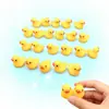 Accesorios DIY Mini Patito Transfronterizos, Accesorios de Resina de Patito Amarillo Lindo, Adornos Pequeños para Micro-Paisajismo al por Mayor