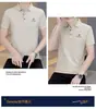 Atacado transfronteiriço camiseta masculina de manga curta de verão Polo camisa base estilo coreano casual masculino lapela masculina camiseta top