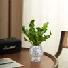 Planta em Vaso Samambaia Ninho de Pássaro Flamejante Planta Verde para Interior Sala de Estar Escritório Mesa Flor Perene o Ano Todo Planta Fácil de Cuidar Decoração