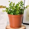 Macetas de Plástico para Plantación de Verduras en Balcón, Plantas Verdes en Maceta, Macetas para Cultivo de Flores Suculentas, Macetas para Control de Raíces, Macetas de Plantación Grandes Engrosadas