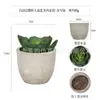 Planta en Maceta Artificial Mini Transfronteriza Hecha a Medida Adornos de Escritorio Bonsái Suculento de Simulación Flor Artificial Planta Verde Pulpa Suculenta Planta en Maceta