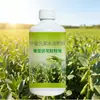 Potenciador de Crecimiento de Vainas de Frijol, Estimulador de Crecimiento de Plántulas, Líquido Estimulante de Raíces y Fortalecedor de Plántulas, Fertilizante Foliar para Prevenir la Caída de Flores y Vainas, Aumentar el Rendimiento, Venta al por Mayor
