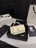 Nuevo Modelo 2025 Bolso Acordeón con Asa de Caviar Inspirado en Chanel, Bandolera de Hombro Único de Moda Versátil Bolso de Cadena Acolchado de Cuero Genuino