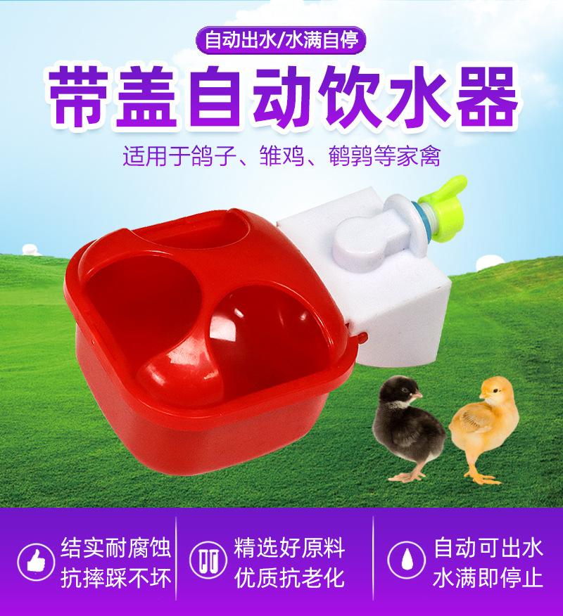 详情页_02.jpg