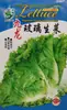 Semillas de Verduras Variadas para Otoño e Invierno, Semillas de Col China, Plántulas con Alta Tasa de Germinación, Nuevas Variedades de Colza Empresas Mayoristas