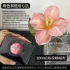 Colorante para flores, absorbente de color para rosas, solución absorbente de color, tinte, colorante para ramos y floristerías