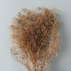 Proveedor de Flores Fábrica de Yunnan Flores para Boda 50g Gypsophila Million Star Ramo de Flores Secas Venta al por Mayor Arte de Flores Eternas