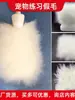 Parches de Piel Sintética para Mascotas Práctica de Esteticista Parches de Pelo de Espalda Pelo de Perro Pelo de Cabeza Esqueleto de Caniche Modelo Oso de Peluche Bichón