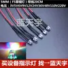 Diodo emisor de luz LED 12V220V con cable 5mm sombrero de paja astigmatismo alambre de soldadura enchufe directo cuentas de lámpara LED luces de colores flash rápido y lento