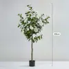 Árvore de Camélia Artificial Grande Escala Transfronteiriça Decoração de Interior para Sala de Estar, Planta em Vaso de Árvore de Camélia Artificial