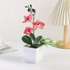 Simulación de Phalaenopsis en maceta, flor falsa, Phalaenopsis doble de cuatro hojas, maceta cuadrada, adornos decorativos de oficina en maceta, venta al por mayor