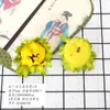 Nuevos Capullos de Flores Artificiales en Varios Estilos, Pegatinas de Pared para el Hogar, Decoraciones para Ventanas, Adornos Pequeños, Cabezas de Flores de Girasol Latino